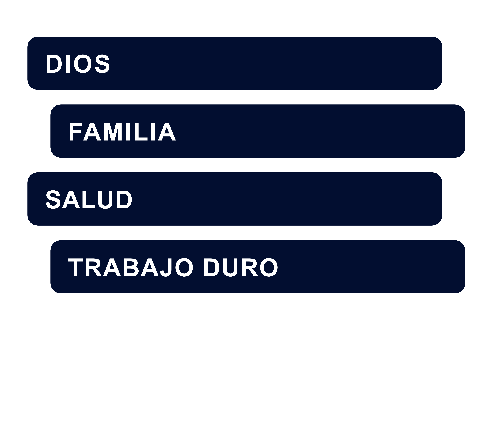 LOS 4 PILARES PARA EL EXITO LOS 4 PILARES PARA EL EXITO